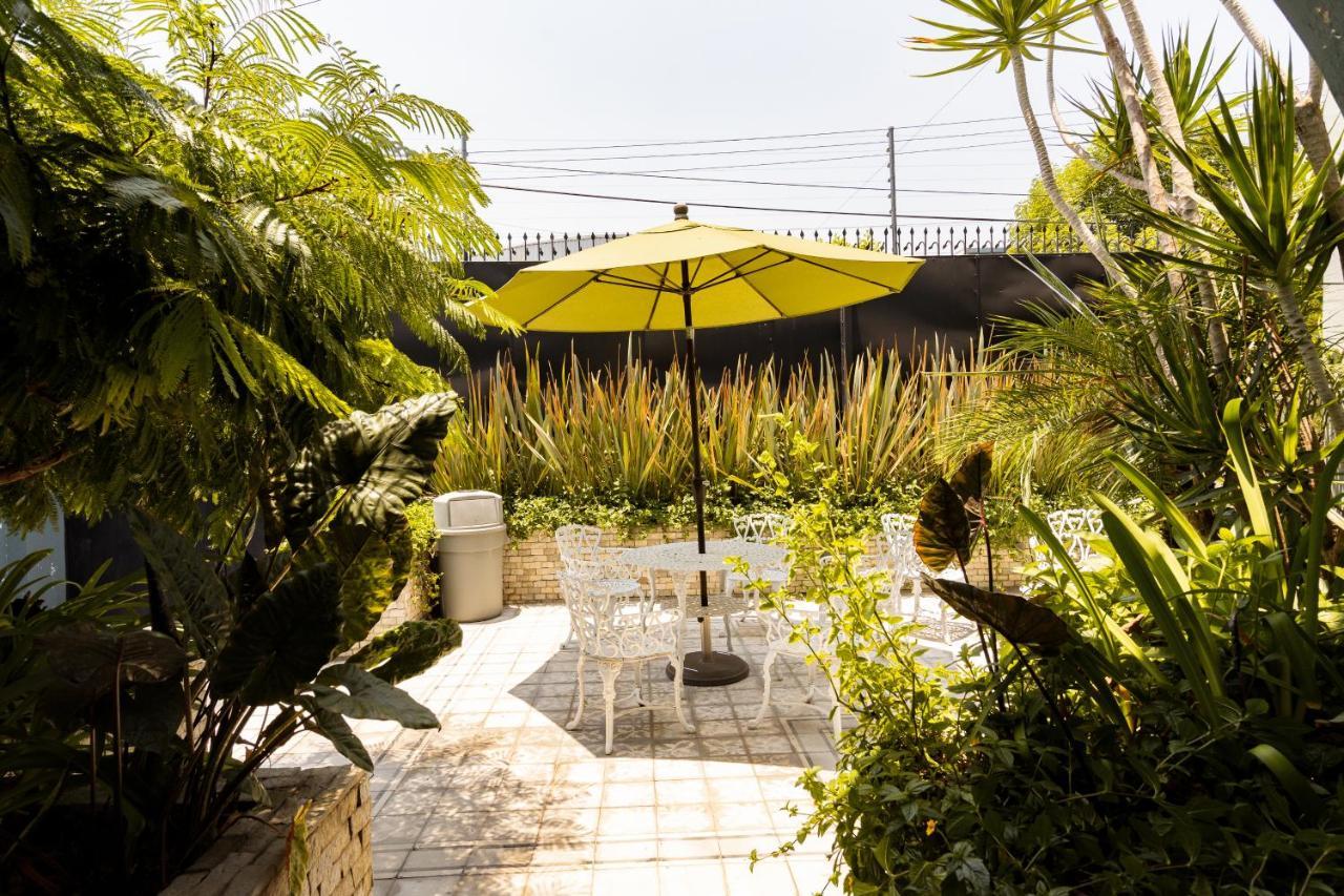 Casa Mateo Guadalajara Exterior foto